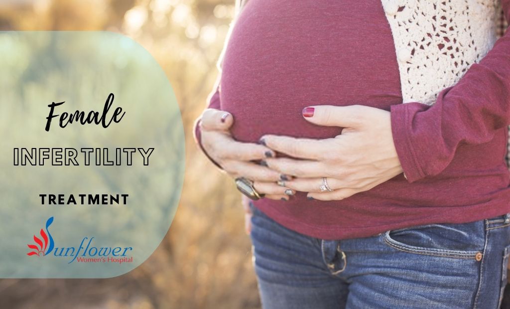 Female Infertility Treatment – Know Your Options