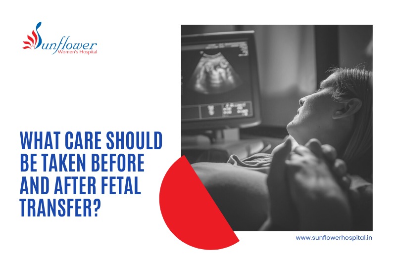 What care should be taken before and after embryo transfer?