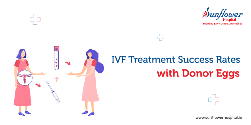 IVF Treatment Success Rates with Donor Eggs