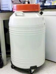 Cryopreservation-tank