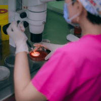 Assisted Conception