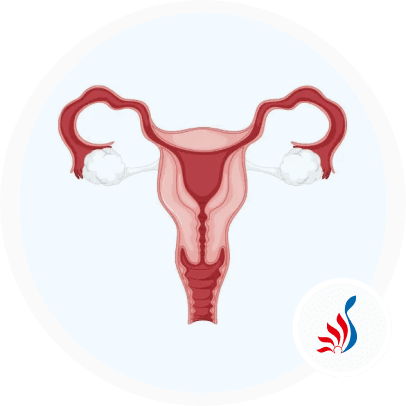 Egg Donation