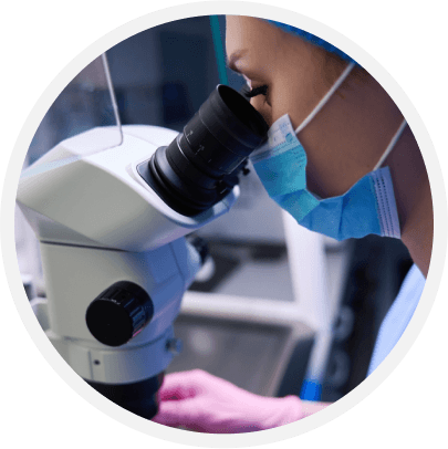 Embryo Donation IVF