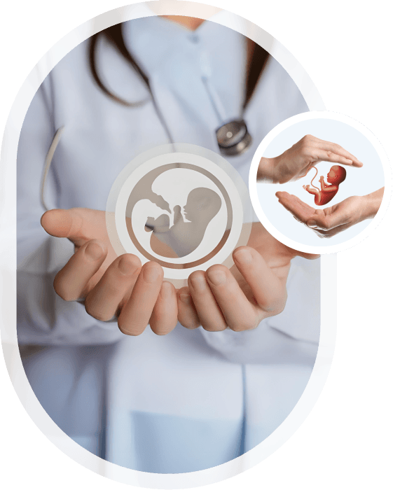 Embryo Donation