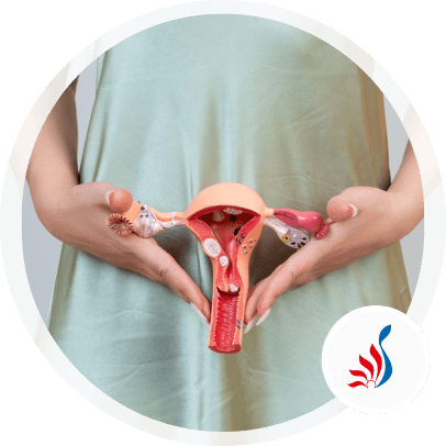 What is Gynaecology?