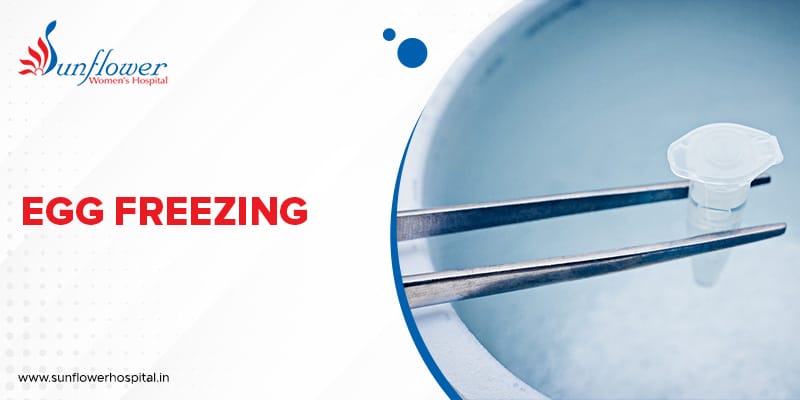 All You Need to Know About Egg Freezing