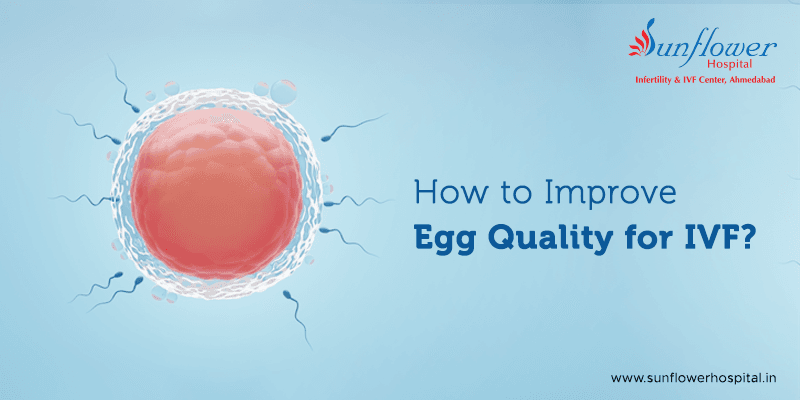 Egg Quality for IVF: How to Improve It Naturally?