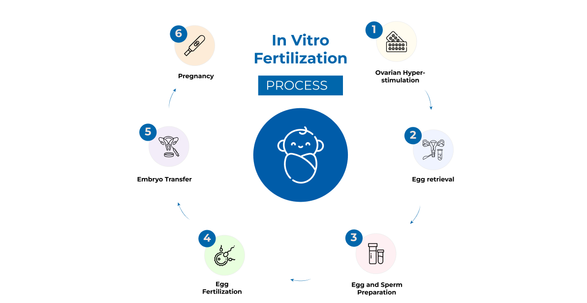 IVF process
