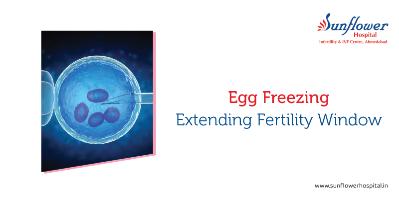 egg-freezing-can-extend-your-fertility-window