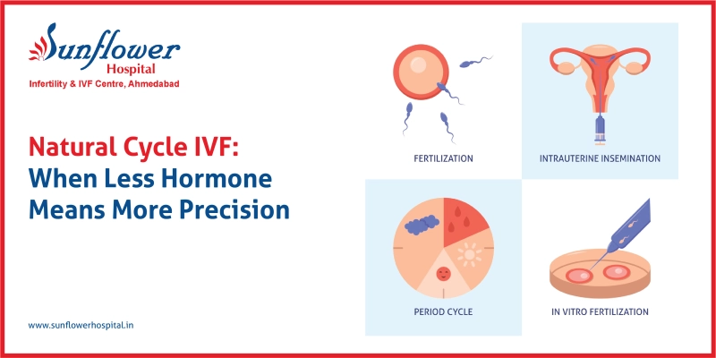 Natural Cycle IVF
