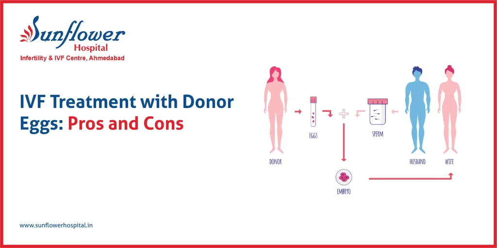 IVF Treatment with Donor Eggs