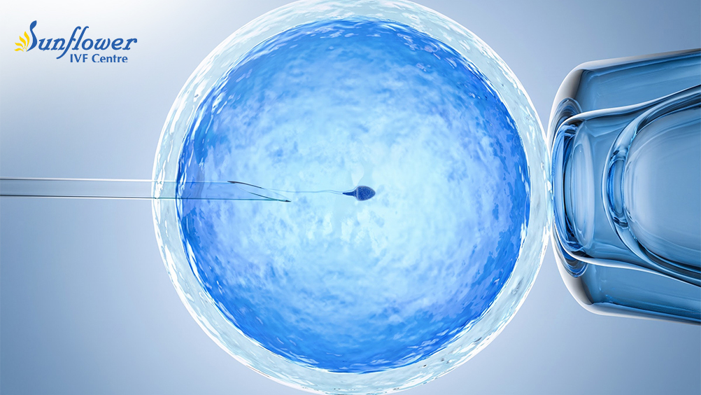 Best IVF Hospital in Gujarat with Highest